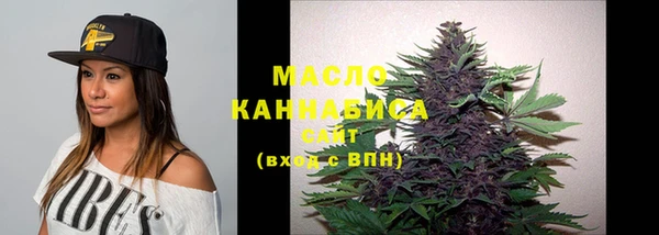 эйфоретик Гусь-Хрустальный