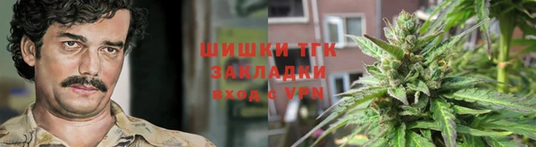 эйфоретик Гусь-Хрустальный