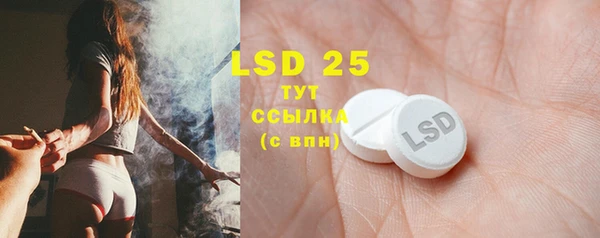 экстази Гусев