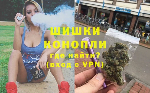 эйфоретик Гусь-Хрустальный