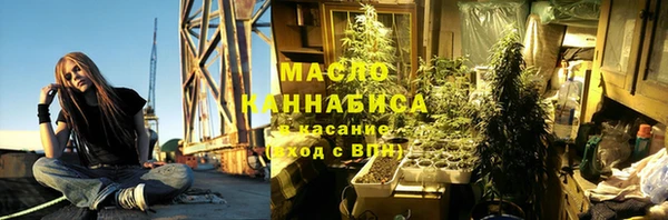 эйфоретик Гусь-Хрустальный