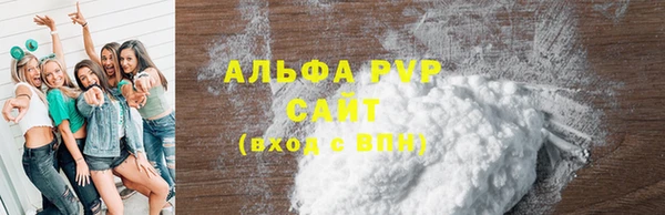 эйфоретик Гусь-Хрустальный