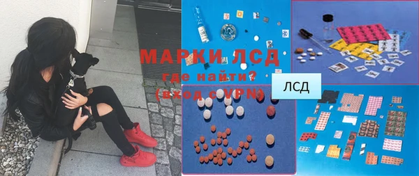 экстази Гусев