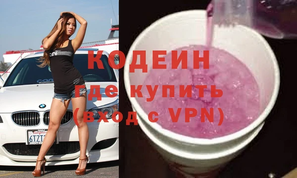 эйфоретик Гусь-Хрустальный